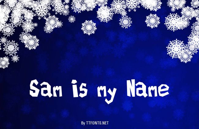 Sam is my Name example